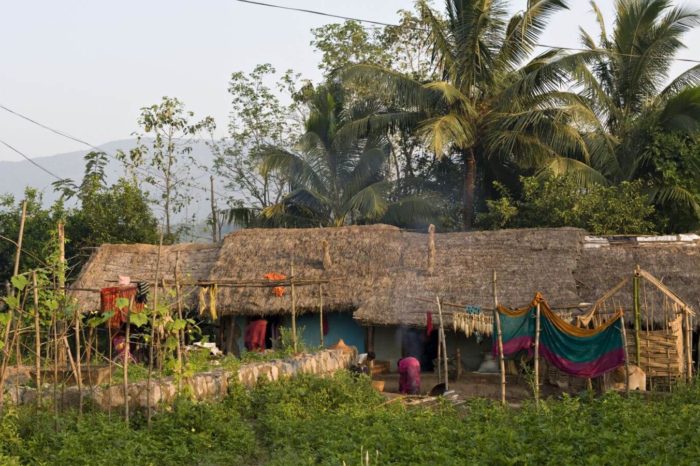 Village Tour in Odisha