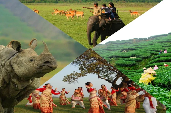 ASSAM AND ARUNACHAL TRIBAL TOUR